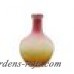 Northlight Frosted Hand Blown Glass Vase NLGT6211