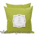 Home Accent Pillows Outdoor Throw Pillow PILH1037
