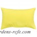 Andover Mills Sarver Outdoor Lumbar Pillow ANDV3432