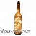 Latitude Run Hurlbert Lighted Decorative Bottle LATU1280