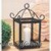 Darby Home Co Metal Lantern DRBH4706