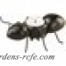 Winston Porter Ants Go Marching in Picnic Tea Light Holder WNPR4387
