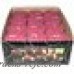 Fortune Products Candle-Lite Black Cherry Votive Candle YDR1072